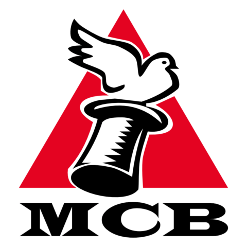 Logo - Magischer Club Bern